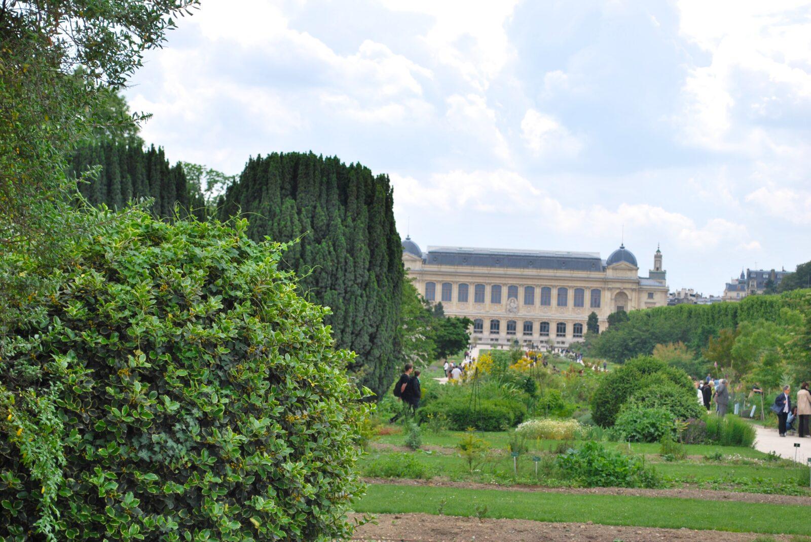 Réouverture galerie Minéralogie Crédit Esprit Joaillerie