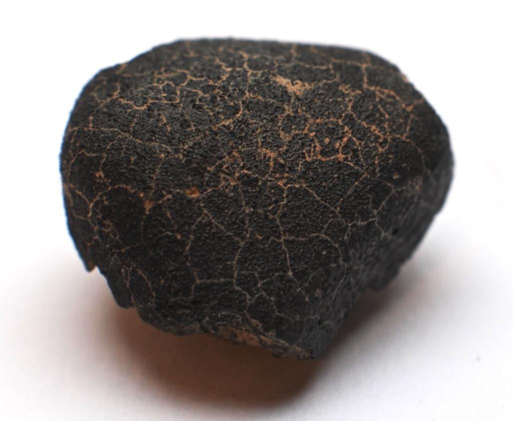 comète- Jbilet Winselwan - 5,7g -20 mm