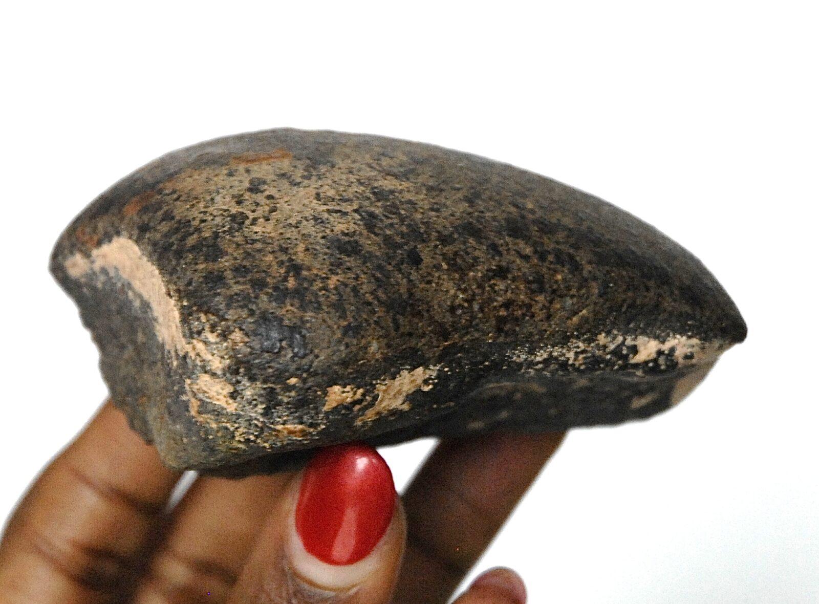 SURPRISE METEORITE ESPRIT JOAILLERIE