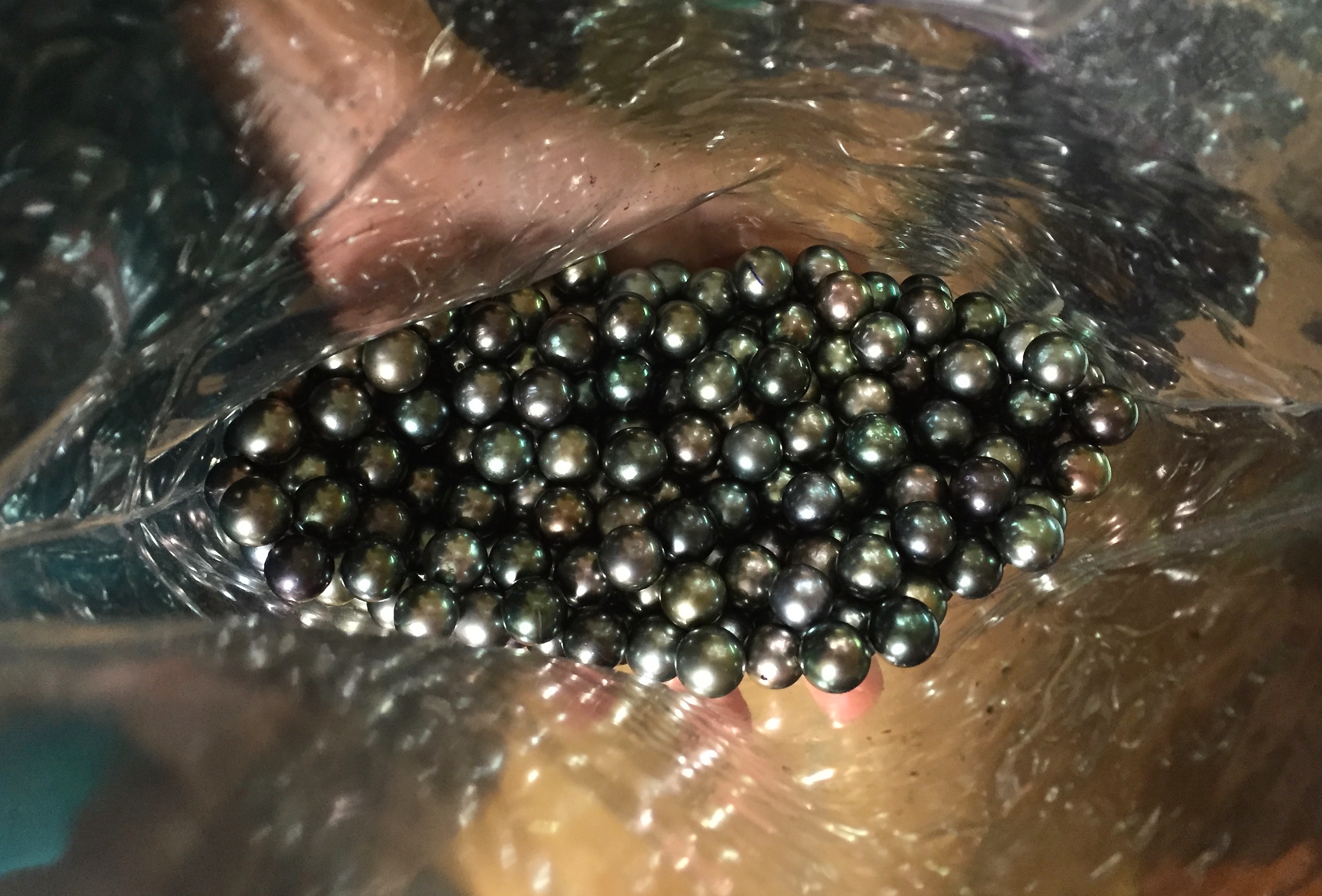 JERÔME TÉRANGI RAMBAUD WORMS © Esprit Joaillerie