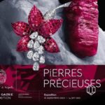 PIERRES PRECIEUSE VAN CLEEF & ARPELS