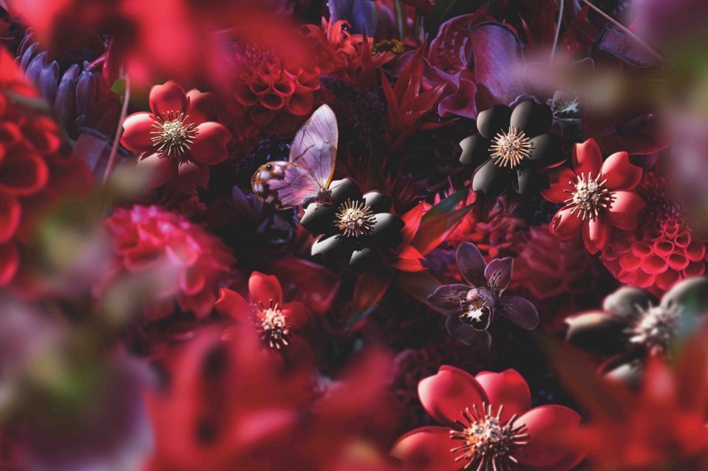 Ainsi, l'oeil de Mika Ninagawa saisit la beauté de la nature, ses photographies sont de véritables composition florales. Quant à la scénographie de Tsuyoshi Tane, elle nous entraine comme par magie dans un jardin aux fleurs merveilleuses où la fée Van Cleef & Arpels nous offre ce qu'il y a de plus délicat.