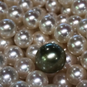 Précieuses Perles par Charlotte Wannebroucq