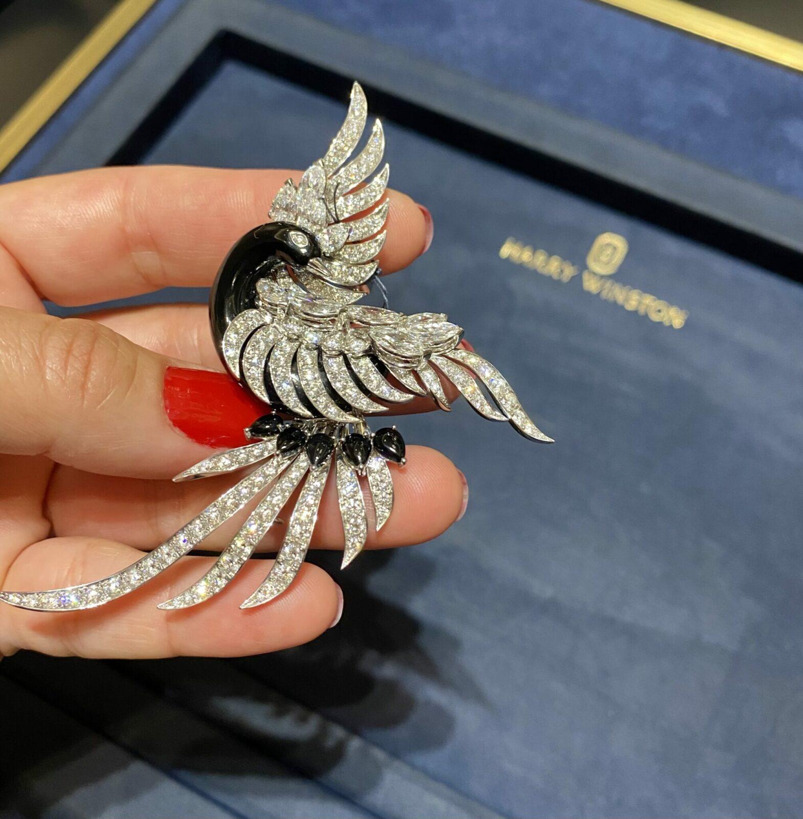 Harry Winston Broche oiseau © Esprit Joaillerie