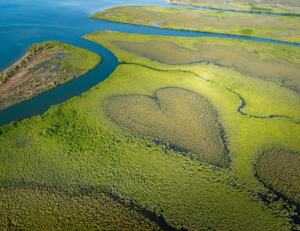 © Frederic Desmoulin/Getty Images