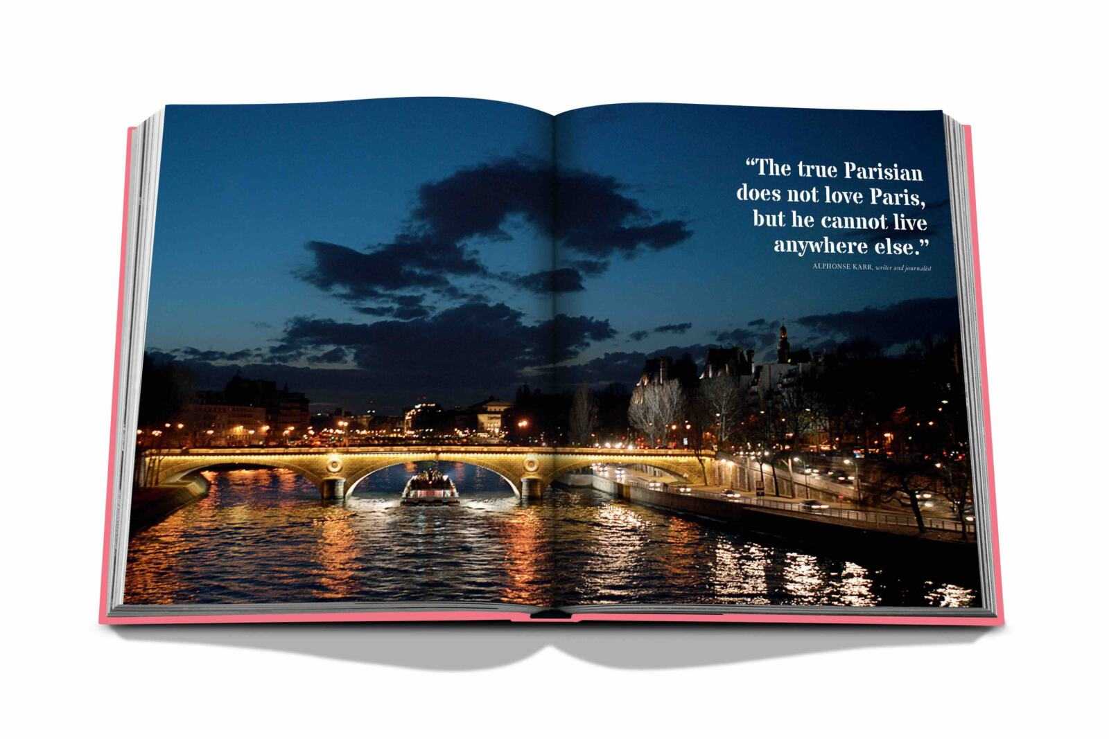 Nuit sur la Seine © Godong/Bridgeman Images