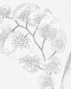 Composition N°6© BOUCHERON