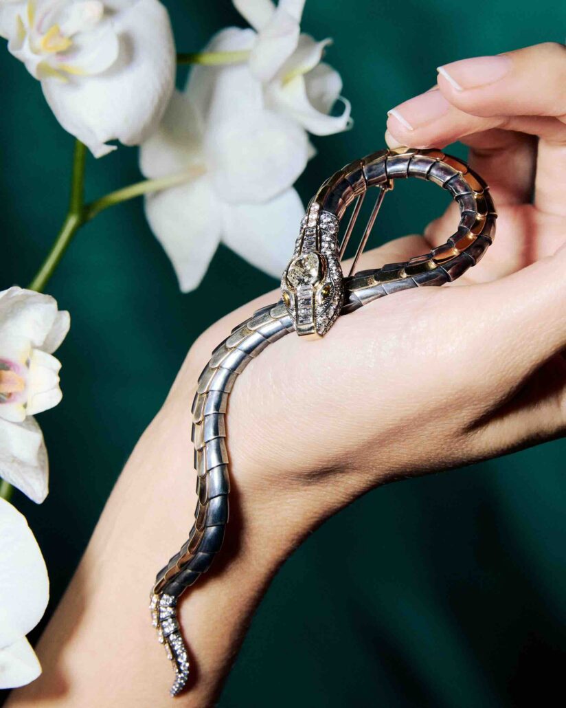 Broche serpent diamnt de Elie Top