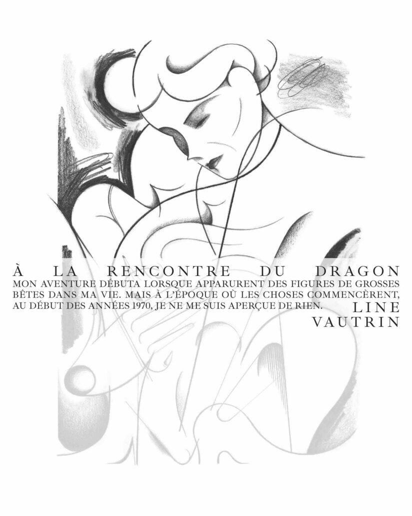 Livre à la rencontre du Dragon Line Vautrin éditions Norma
